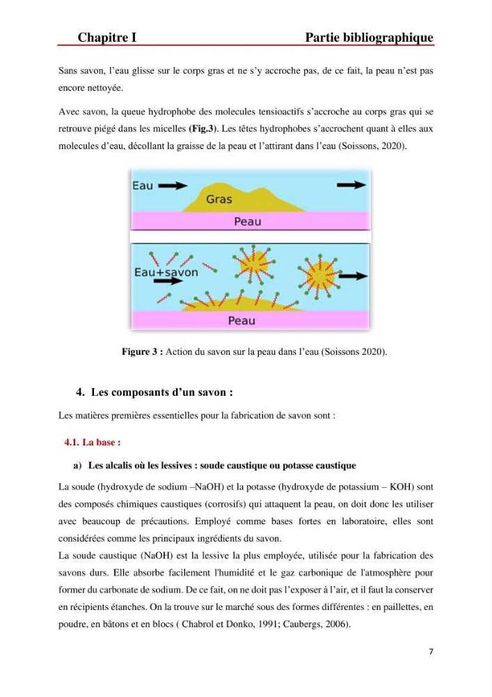 Valorisation des produits de la mer pour la fabrication de savon : Aspects techniques et économiques