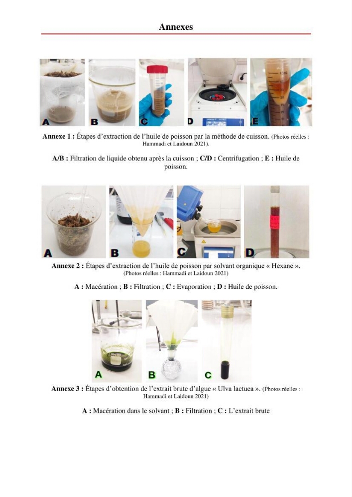 Valorisation des produits de la mer pour la fabrication de savon : Aspects techniques et économiques
