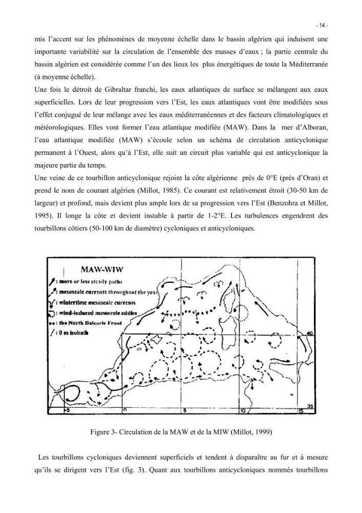 Les Sélaciens de la côte algérienne, biosystématique des requins et les raies