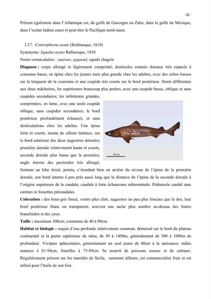 Les Sélaciens de la côte algérienne, biosystématique des requins et les raies