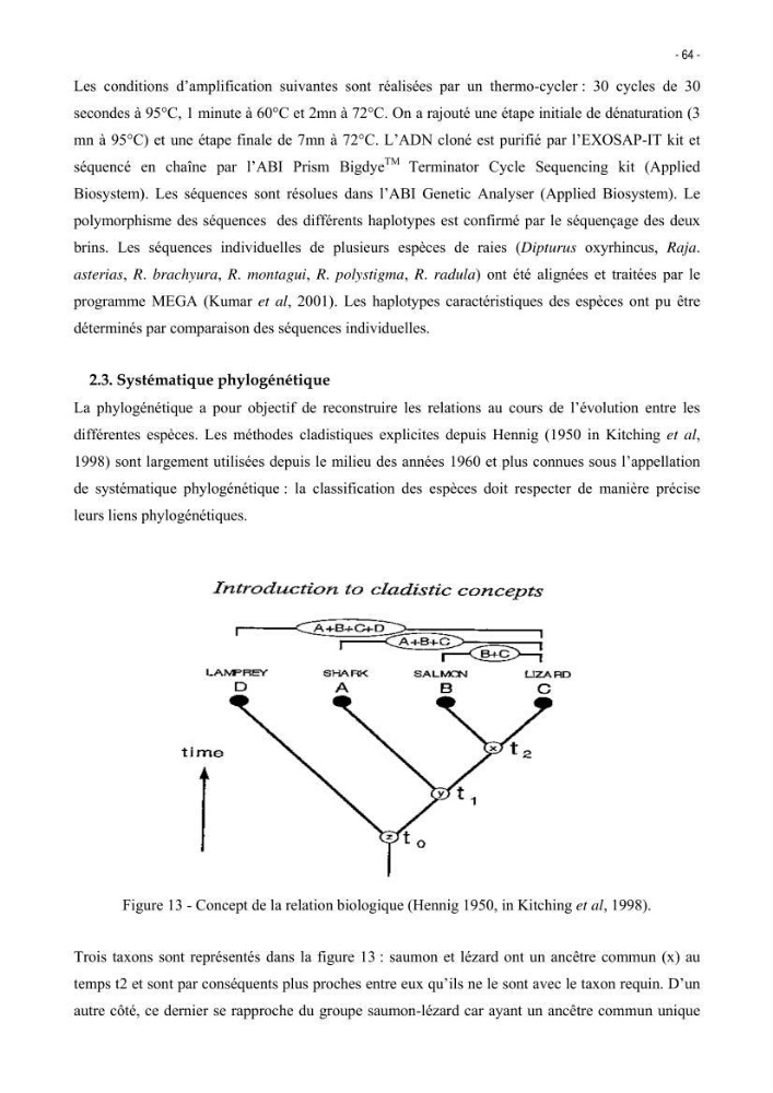 Les Sélaciens de la côte algérienne, biosystématique des requins et les raies