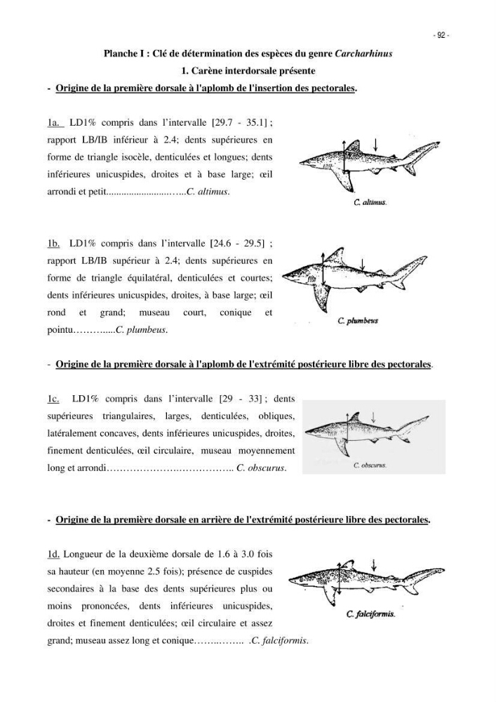 Les Sélaciens de la côte algérienne, biosystématique des requins et les raies