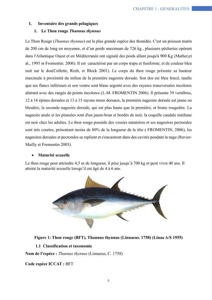 Les grands pélagiques dans le bassin algérien environnement, analyse spatio-temporelle et modelisation