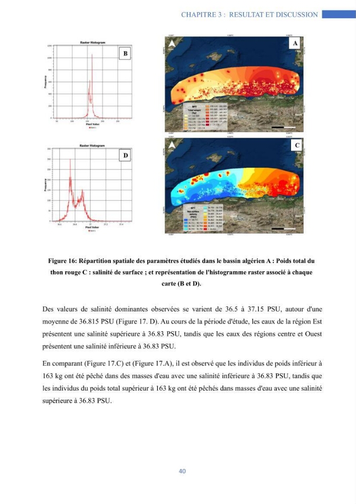 Les grands pélagiques dans le bassin algérien environnement, analyse spatio-temporelle et modelisation