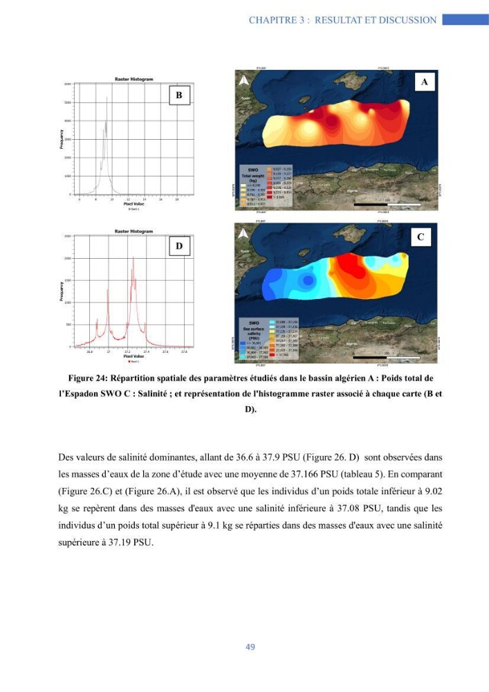 Les grands pélagiques dans le bassin algérien environnement, analyse spatio-temporelle et modelisation