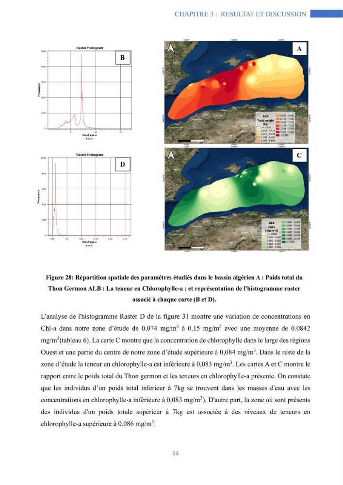 Les grands pélagiques dans le bassin algérien environnement, analyse spatio-temporelle et modelisation