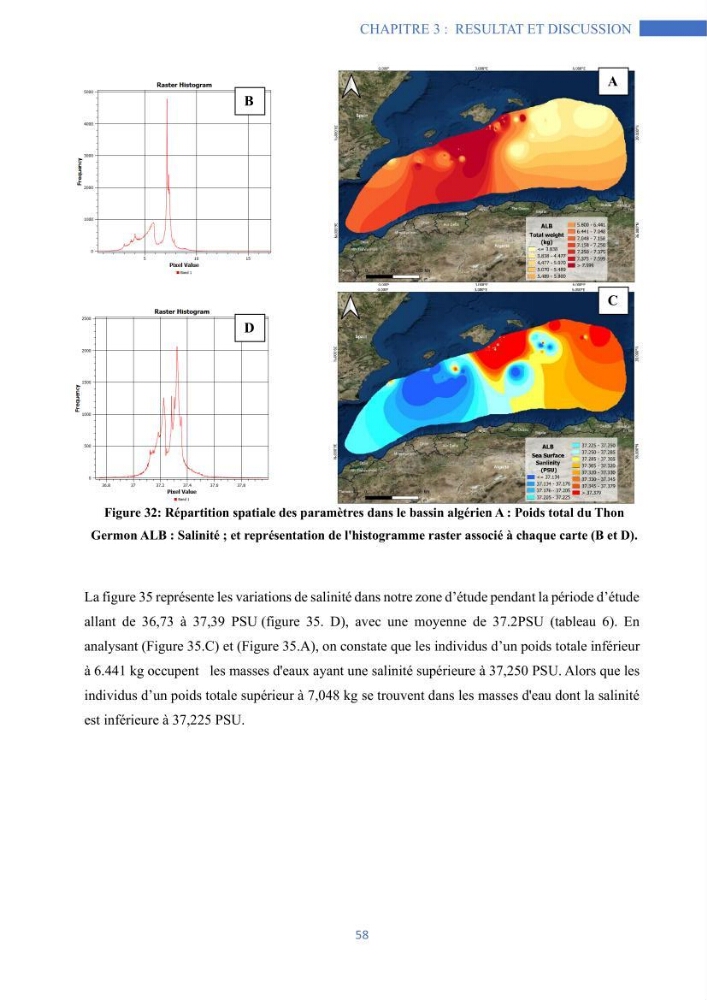 Les grands pélagiques dans le bassin algérien environnement, analyse spatio-temporelle et modelisation
