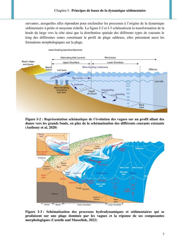 Dynamique et évolution morphosédimentaire des plages sableuses de l\'étude des processus à la modelisation: application sur trois sites du littoral algérois