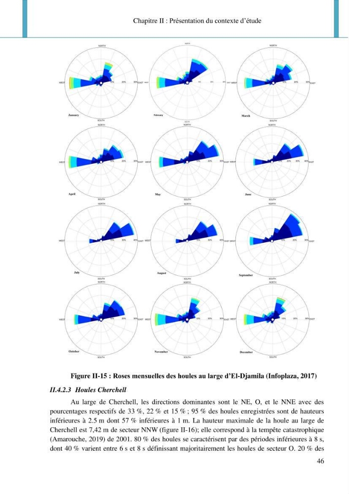Dynamique et évolution morphosédimentaire des plages sableuses de l\'étude des processus à la modelisation: application sur trois sites du littoral algérois