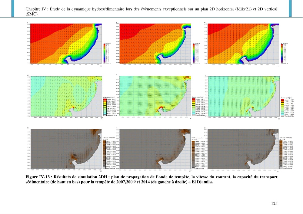 Dynamique et évolution morphosédimentaire des plages sableuses de l\'étude des processus à la modelisation: application sur trois sites du littoral algérois