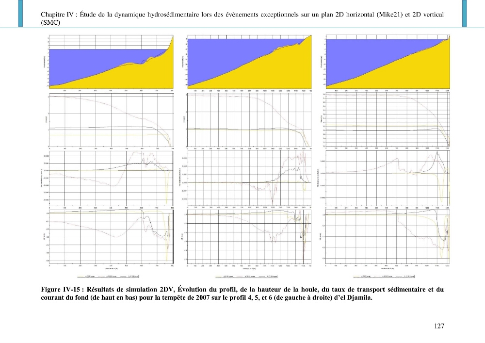 Dynamique et évolution morphosédimentaire des plages sableuses de l\'étude des processus à la modelisation: application sur trois sites du littoral algérois