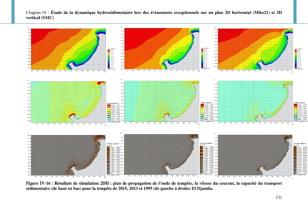 Dynamique et évolution morphosédimentaire des plages sableuses de l\'étude des processus à la modelisation: application sur trois sites du littoral algérois