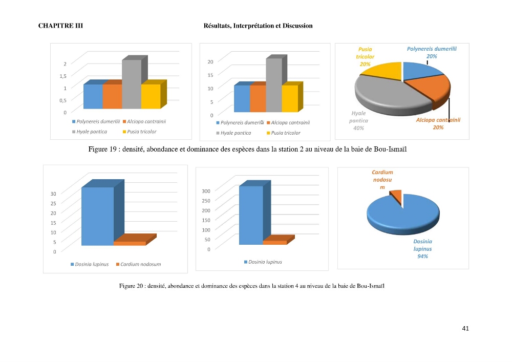 Caractérisation des biocenoces benthiques des côtes Algériennes