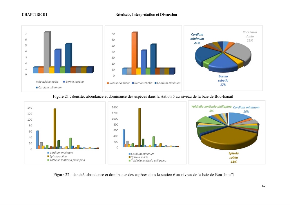 Caractérisation des biocenoces benthiques des côtes Algériennes