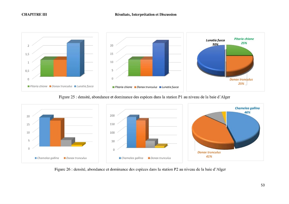 Caractérisation des biocenoces benthiques des côtes Algériennes