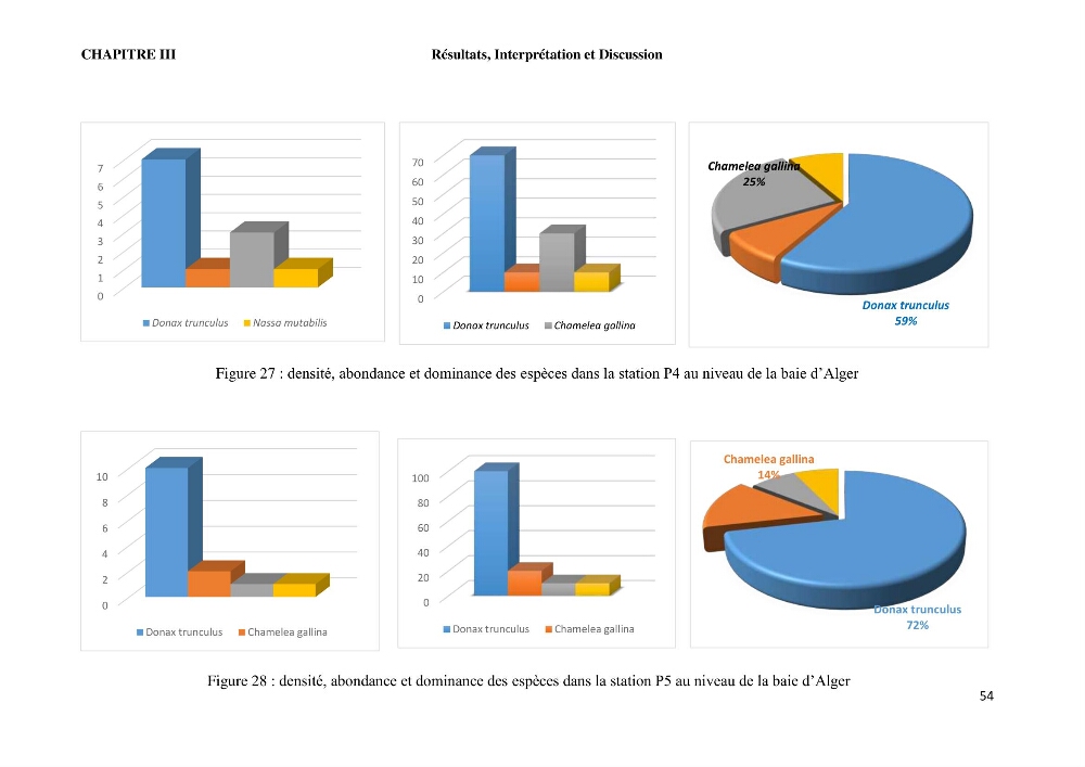 Caractérisation des biocenoces benthiques des côtes Algériennes