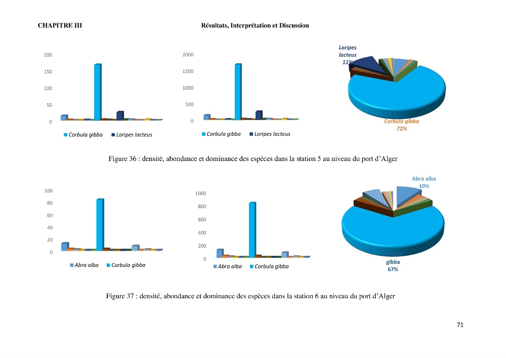 Caractérisation des biocenoces benthiques des côtes Algériennes