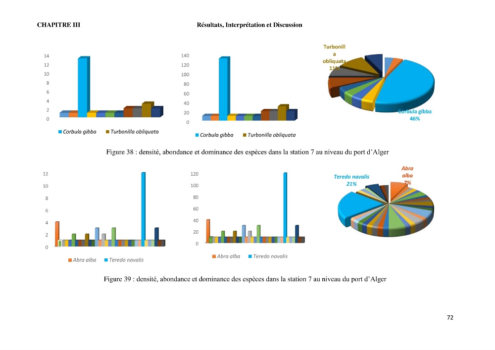 Caractérisation des biocenoces benthiques des côtes Algériennes