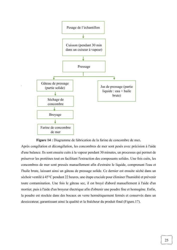 Contribution à la valorisation des coproduits des espèces d\'holothurie ( concombre de mer ) pêchées dans la côte algérienne