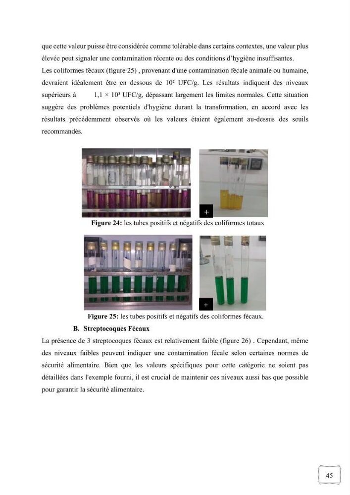 Contribution à la valorisation des coproduits des espèces d\'holothurie ( concombre de mer ) pêchées dans la côte algérienne