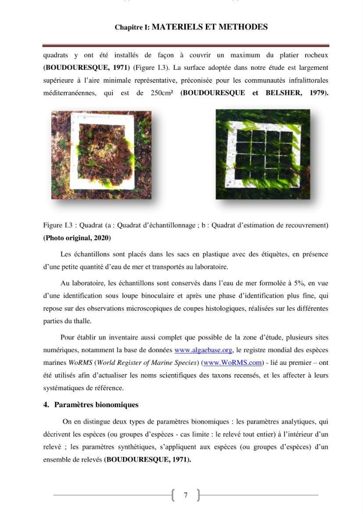 Bioévaluation de la qualité des eaux marines côtières les peuplements macrophytes benthiques.