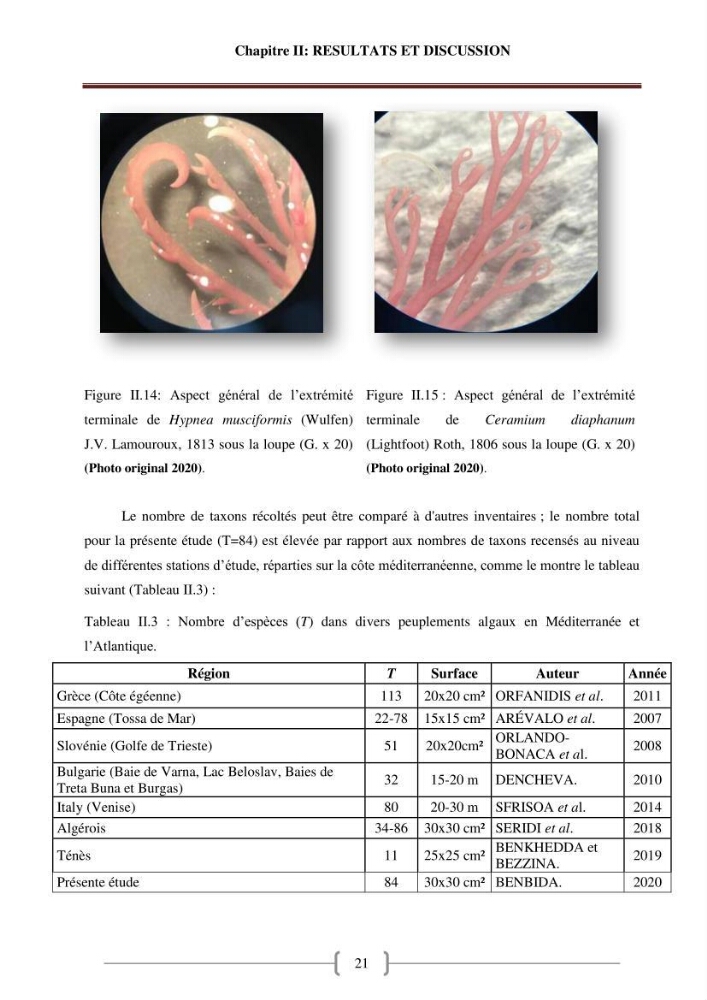Bioévaluation de la qualité des eaux marines côtières les peuplements macrophytes benthiques.