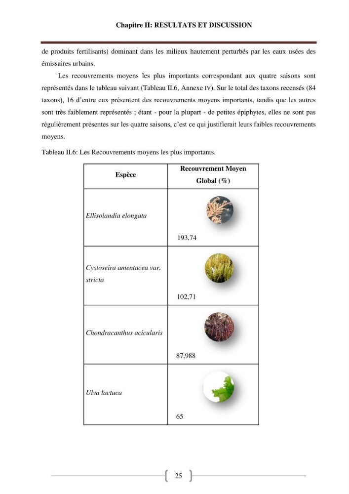 Bioévaluation de la qualité des eaux marines côtières les peuplements macrophytes benthiques.
