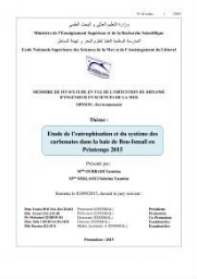 Etude de l'eutrophisation et du système des carbonates dans la baie de Bou-Ismail en printemps 2015