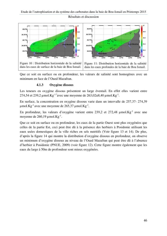 Etude de l\'eutrophisation et du système des carbonates dans la baie de Bou-Ismail en printemps 2015