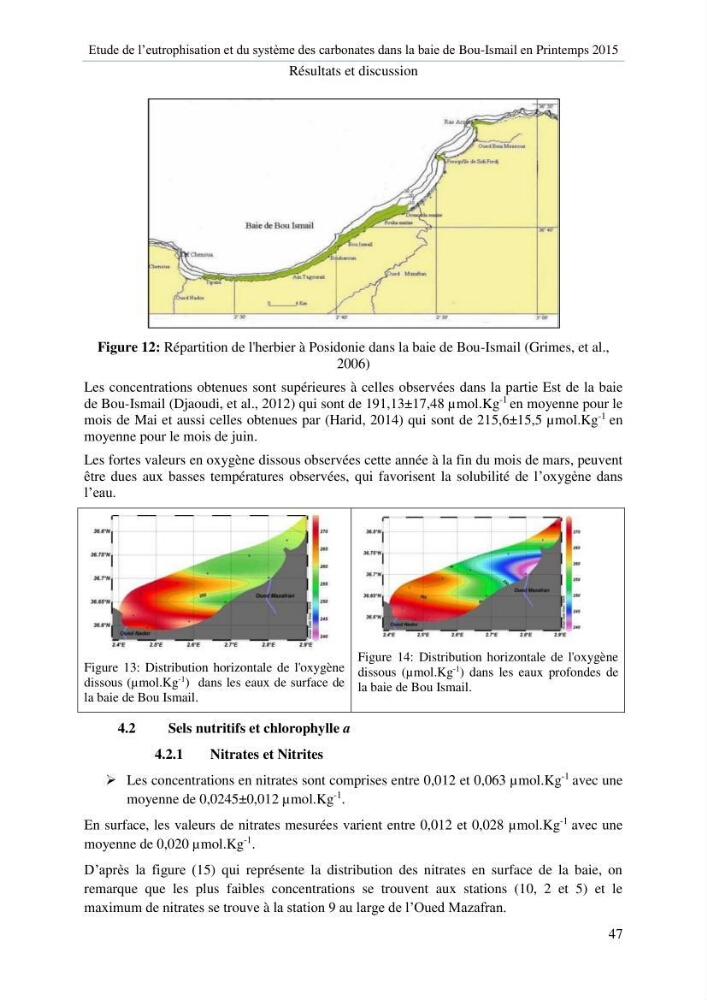 Etude de l\'eutrophisation et du système des carbonates dans la baie de Bou-Ismail en printemps 2015