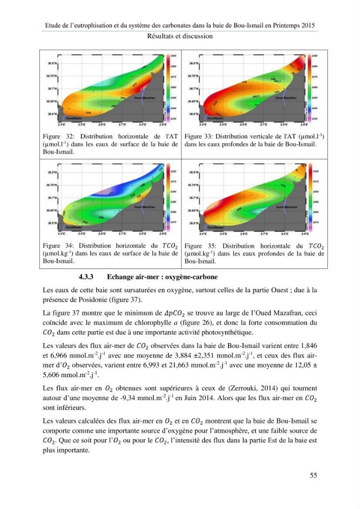 Etude de l\'eutrophisation et du système des carbonates dans la baie de Bou-Ismail en printemps 2015