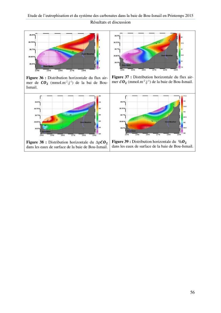 Etude de l\'eutrophisation et du système des carbonates dans la baie de Bou-Ismail en printemps 2015