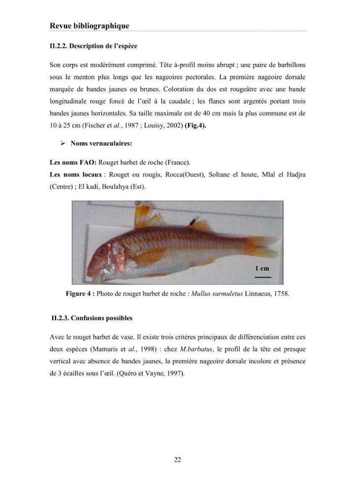 Evaluation et caractérisation de la résistance aux antibiotiques chez des bactéries à Gram négatif isolées à partir de milieux et d’animaux aquatiques