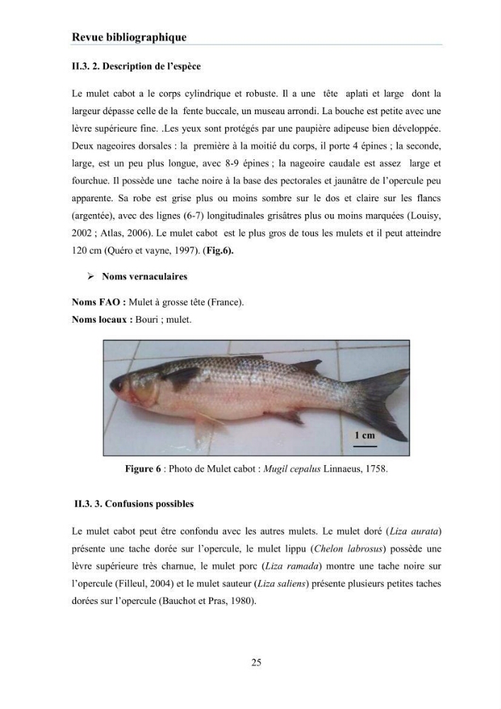 Evaluation et caractérisation de la résistance aux antibiotiques chez des bactéries à Gram négatif isolées à partir de milieux et d’animaux aquatiques