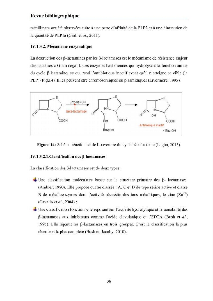 Evaluation et caractérisation de la résistance aux antibiotiques chez des bactéries à Gram négatif isolées à partir de milieux et d’animaux aquatiques