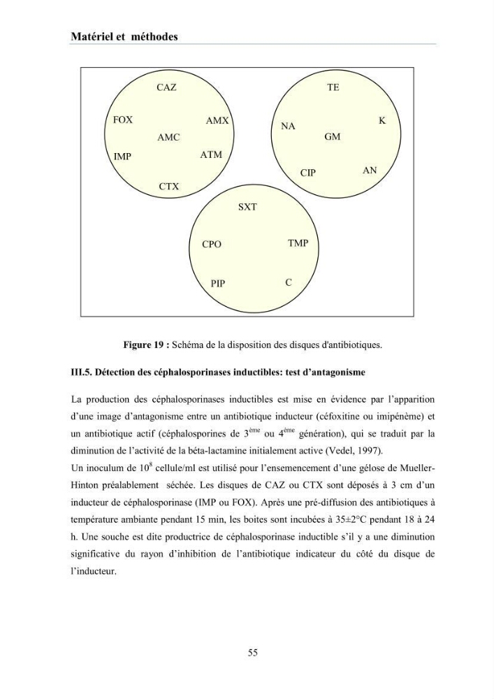 Evaluation et caractérisation de la résistance aux antibiotiques chez des bactéries à Gram négatif isolées à partir de milieux et d’animaux aquatiques