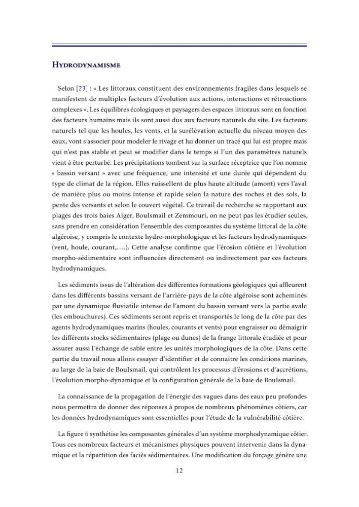 Apport de la télédétection très haute résolution pour l’étude diachronique des plages de la région centre algérienne