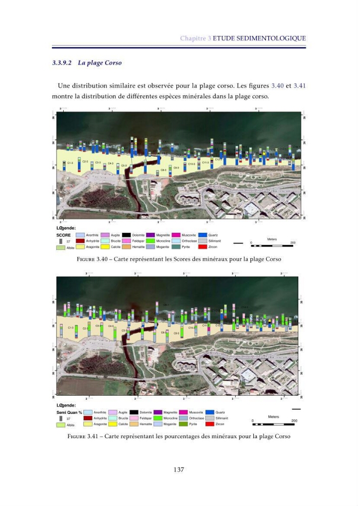 Apport de la télédétection très haute résolution pour l’étude diachronique des plages de la région centre algérienne