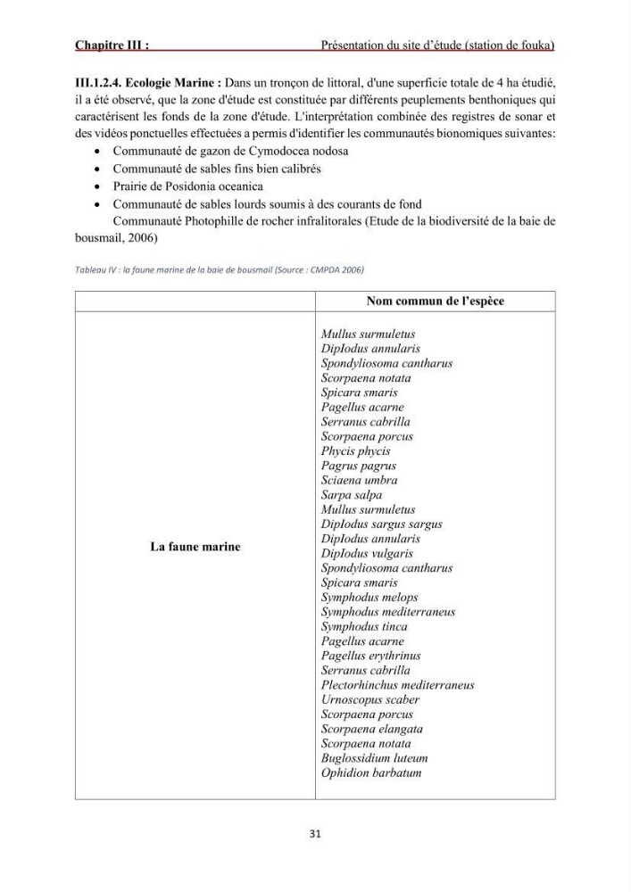 Analyse du cycle de vie du dessalement de l\'eau de mer en baie de Bou-Ismail: evaluation de la performance environnementale de la station de Fouka
