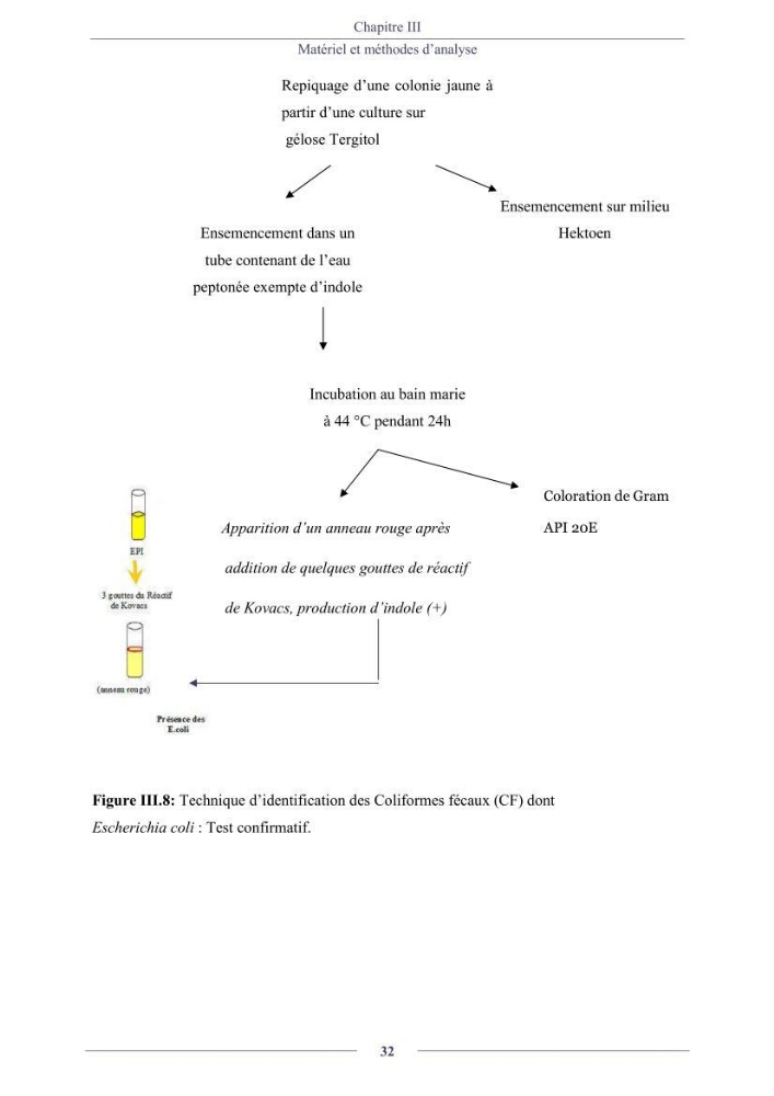 Evaluation de la qualité (microbiologie, métaux lourds, granulométrie et hydrocarbures) des sédiments de dragage du port de Sidi-Fredj en vue d\'une immersion