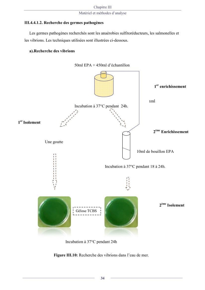 Evaluation de la qualité (microbiologie, métaux lourds, granulométrie et hydrocarbures) des sédiments de dragage du port de Sidi-Fredj en vue d\'une immersion