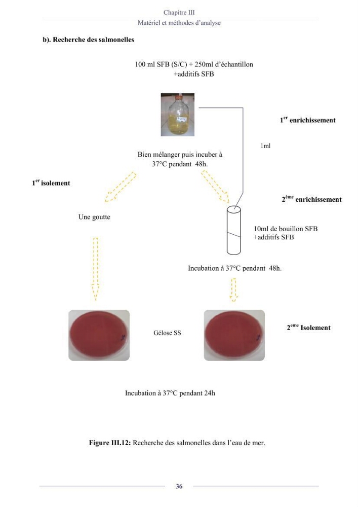 Evaluation de la qualité (microbiologie, métaux lourds, granulométrie et hydrocarbures) des sédiments de dragage du port de Sidi-Fredj en vue d\'une immersion