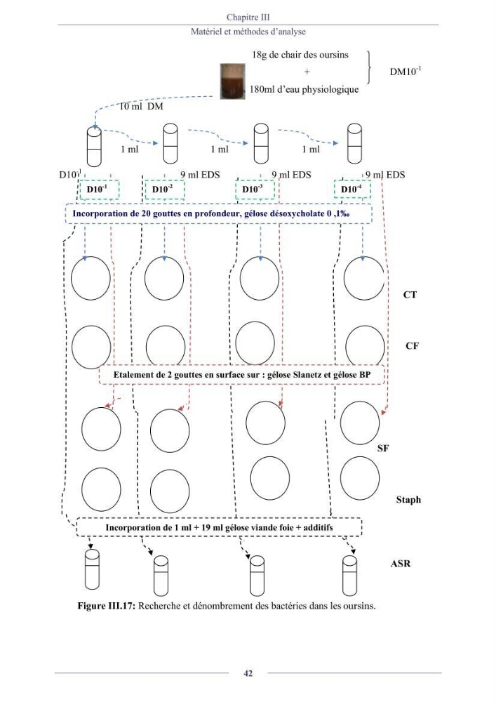 Evaluation de la qualité (microbiologie, métaux lourds, granulométrie et hydrocarbures) des sédiments de dragage du port de Sidi-Fredj en vue d\'une immersion
