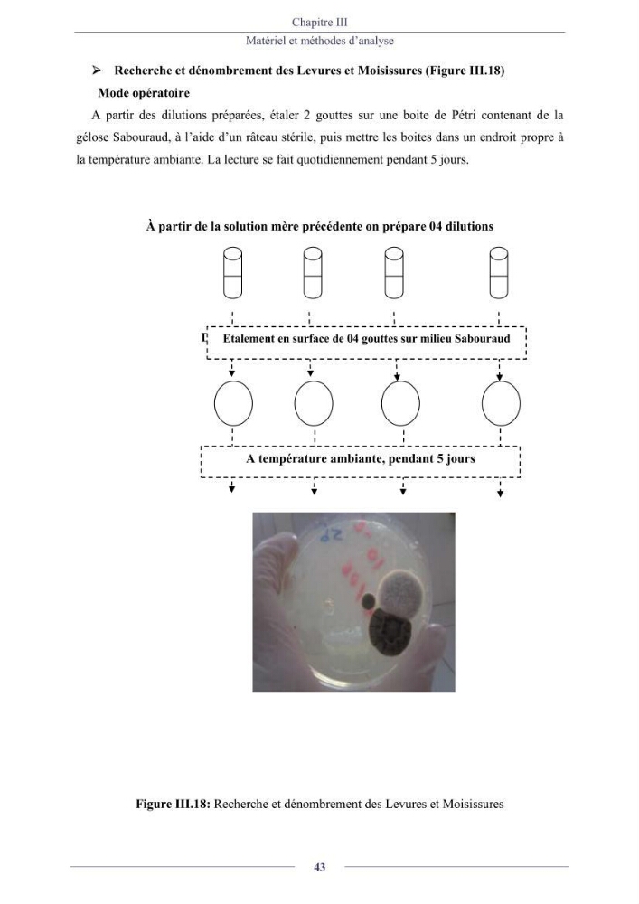Evaluation de la qualité (microbiologie, métaux lourds, granulométrie et hydrocarbures) des sédiments de dragage du port de Sidi-Fredj en vue d\'une immersion
