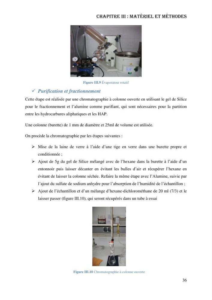 Evaluation de la vulnérabilité bio-morphosédimentaire de la baie de Bou-Ismail face à une pollution potentielle par les hydrocarbures: