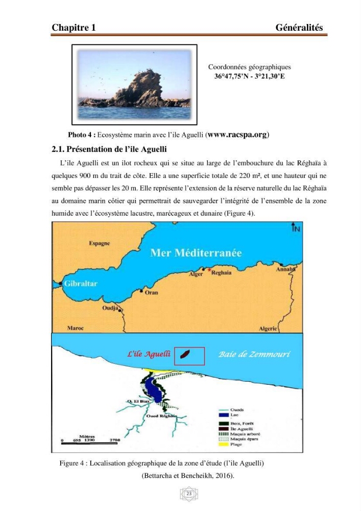 Inventaire de la faune et de la flore marine d\'intérêt écologique des sites remarquables de la région centre de la côte Algérienne (l\'Anse de Kouali et l\'île Aguelli)