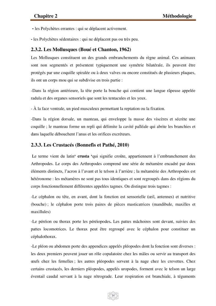 Inventaire de la faune et de la flore marine d\'intérêt écologique des sites remarquables de la région centre de la côte Algérienne (l\'Anse de Kouali et l\'île Aguelli)