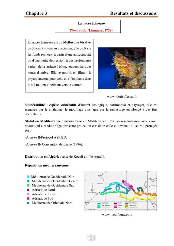 Inventaire de la faune et de la flore marine d\'intérêt écologique des sites remarquables de la région centre de la côte Algérienne (l\'Anse de Kouali et l\'île Aguelli)