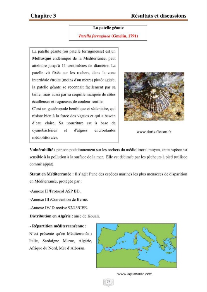 Inventaire de la faune et de la flore marine d\'intérêt écologique des sites remarquables de la région centre de la côte Algérienne (l\'Anse de Kouali et l\'île Aguelli)
