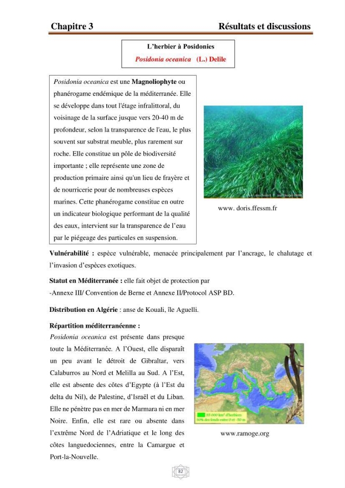 Inventaire de la faune et de la flore marine d\'intérêt écologique des sites remarquables de la région centre de la côte Algérienne (l\'Anse de Kouali et l\'île Aguelli)